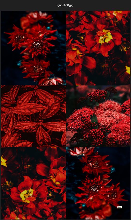 EXPLOSION 25 Scarf