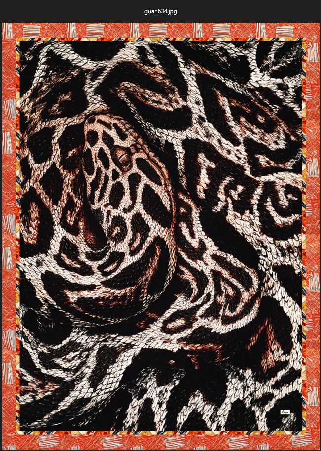 PYTHON 25 Scarf