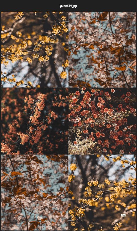 HERBSTBLÜTE 25 Scarf
