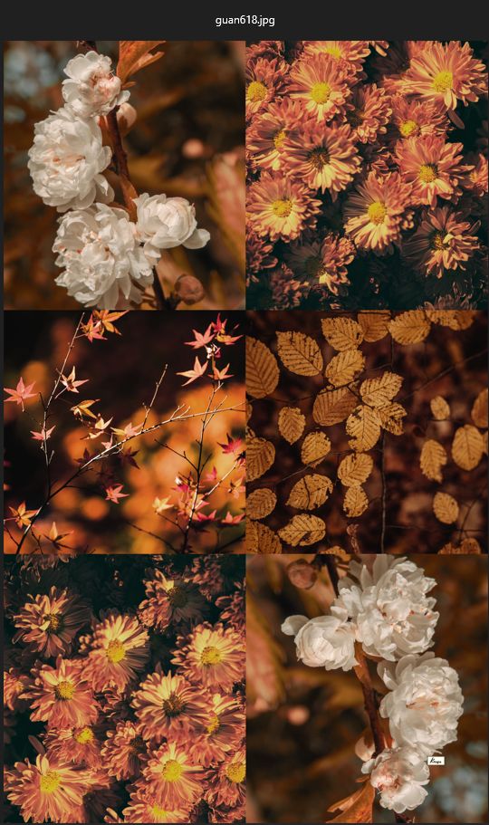 HERBSTBLÜTE 26 Scarf